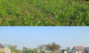 IMG_20260822_104501
